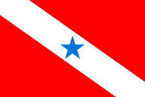 Bandeira do PARAUAPEBAS