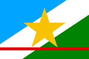 Bandeira do RORAIMA